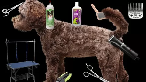 Learn how to groom your dog from start to finish including bathing