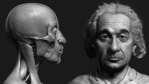 Learn How To Create A Realistic 3D Portrait in ZBrush Character Modeling