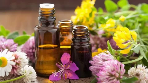 Learn to use essential oils to improve body