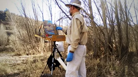 If you've taken the Plein Air Essentials course and are looking for a course specific to pastel