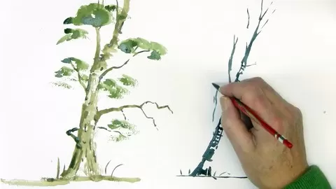 Learn to master the essential basics of watercolor painting