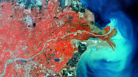 Learn basic to advanced remote sensing image processing