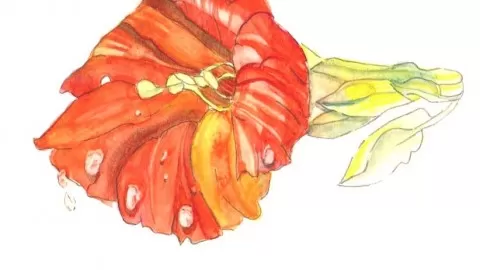 Learn how to paint rain droplets on petals using watercolor techniques