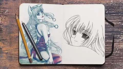 Learn to draw Manga and Anime faces like a pro