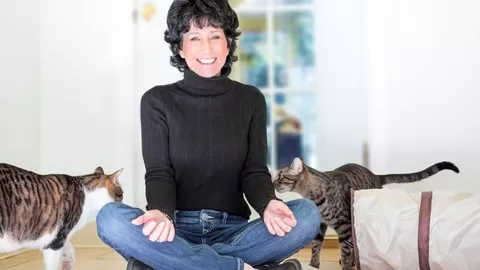 Learn How Animal Reiki Meditation is a Healing Practice