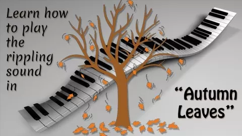 A step-by-step guide found nowhere else but in this course! The actual piano riffs you CAN play to amaze your friends!
