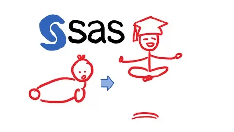 Learn the powerful SAS programming as a tool for Data Analysis