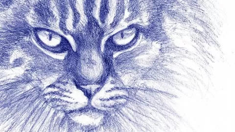 Learn how to draw animals like an expert - quickly