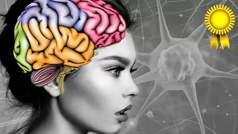 Neuroplasticity & Neuroscience ┃ How to Change your Thinking Pattern