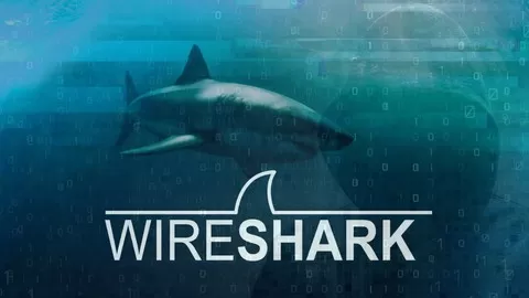 From basic to advanced network analysis using Wireshark! Ethical Hacking using Kali Linux: Passwords