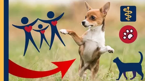 Holistic Dog Behavior. Dog Training. Behavior Issues. Dog Science. Herbs. Touch. Dog Parents. Dog Professionals.