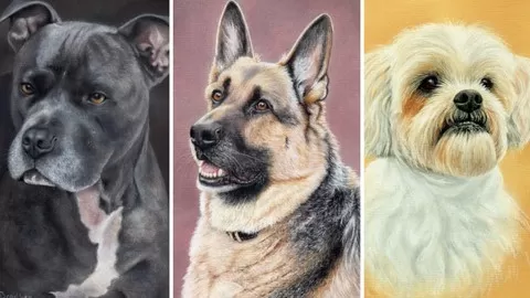 Learn How to Draw 3 AMAZING Dog Portraits with EASY to follow step by step videos. Draw Pictures you can be proud of