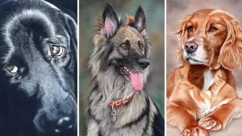 Learn to Draw 3 stunning Dog Portraits by following Colin's step by step videos. Draw with this easy to learn art medium