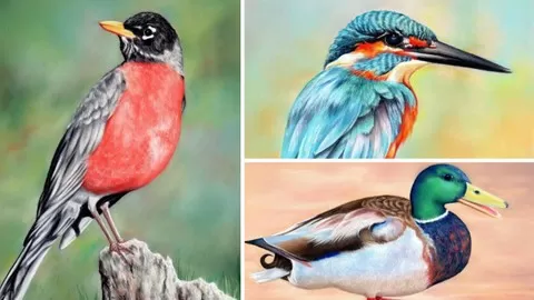 Learn to Draw 3 stunning Bird Pictures by following Colin's step by step videos. Draw with this easy to learn art medium