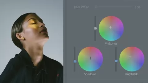 The Most Concise Guide to Professional Color Grading with Adobe Premiere Pro.