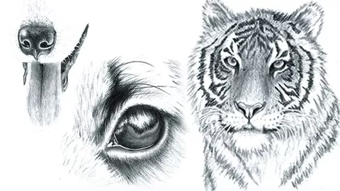Learn How to Sketch Beautiful Animal and Pet Portraits with Step-by-Step Instructions