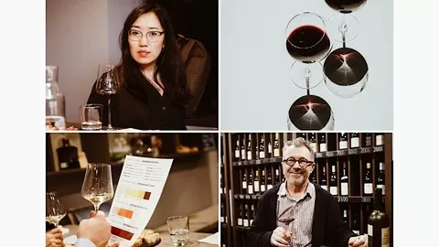 The complete wine course for beginners. Grape varieties and countries.