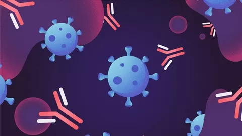 Learn about Antibodies: Their Structure