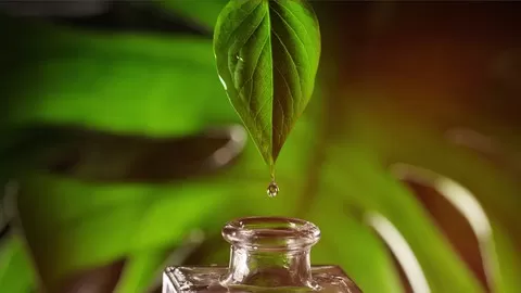 Ancient Secret Practices: Traditional Ayurvedic Method of Creating Herbal Medicine