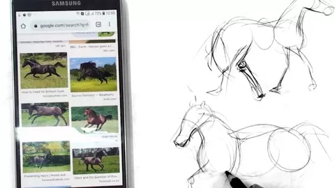 Drawing & Art Course with sketches Drawing