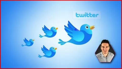 Twitter Marketing - Generate 250 Highly Targeted Twitter Followers Every Week