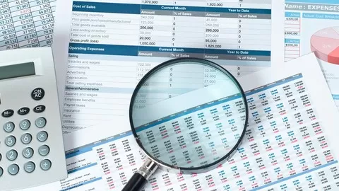 Forensic Accounting techniques elaborated with the help of financial statement frauds