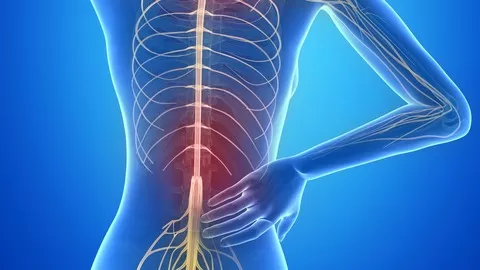Learn about the little talked about muscles that REALLY contribute to your pain...and how to activate them to heal pain