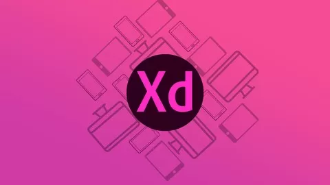 Learn the Fundamentals of XD