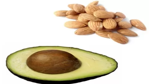 Master Your Nutrition: Learn Everything About Fats To Better Your Health