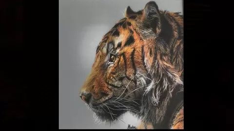 Create a beautiful tiger with colored pencils on drafting film