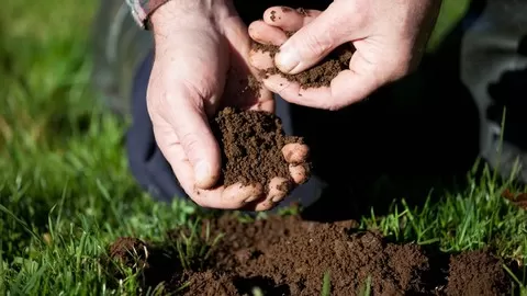 Learn fundamental principles that guide soil health.