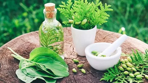 Use common kitchen herbs for health