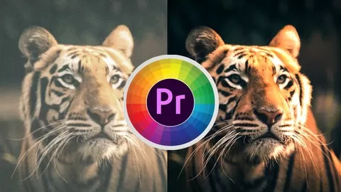 Color grading in a simple and effective way with the Adobe Premiere