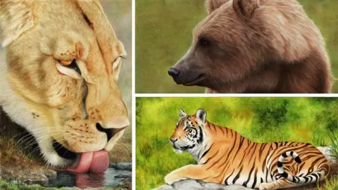 Learn how to draw three stunning animal pictures using Pastel Pencils - an easy to pick up art medium that anyone can do