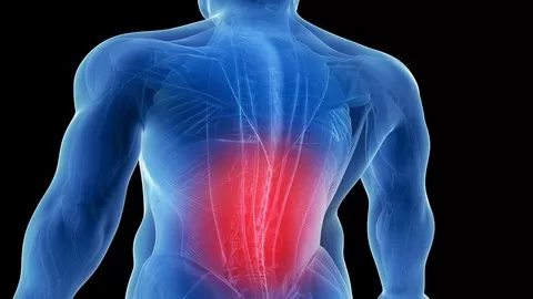 Over a hundred natural exercises and techniques to relieve and prevent low back pain.