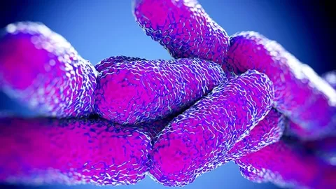 Are you at risk of getting Legionella infection?