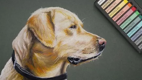 Learn how to draw animals with pastels.