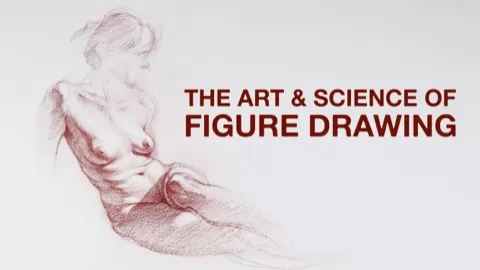 In this beginning figure drawing course