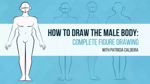 Do you want to learn how to draw theMale Body?