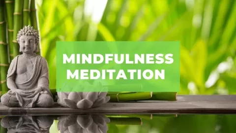 Learn how to mindfully meditate and get control of your mental state.  Daily meditation will help you to reduce the severity and duration of distressing thou...