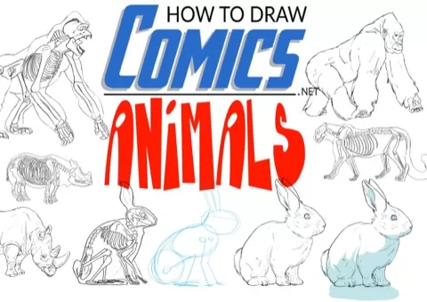 Welcome to How To Draw Animals. Maybe you loved drawing as a kid