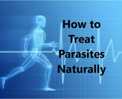 Parasites are everywhere. Over 100 different parasites attack humans. The vast majority of humans have them