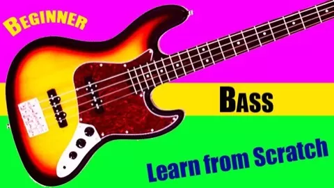 Beginner Bass Guitar - Bass MASTERY FROM THE BEGINNING Bass