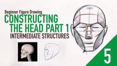 This is the first of three lessons that will cover the Intermediate Construction of the Head.Part 1 will build on from our earlierlessons and go over the Sec...