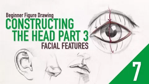 In this final lesson in our intermediate series on Head Construction we'll cover the individual Facial Features.We'll cover the construction of the Eyes
