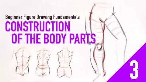 In this next lesson of this Figure Drawing Fundamentals series