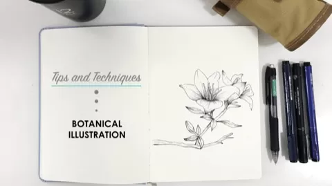 Check this class out if you want go deep into Botanical Illustration