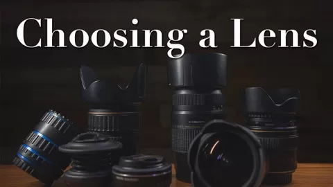 There are so many different lenses out there it can be difficult to choose the one you like and the one that will suit your needs!