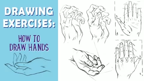 Do you struggle drawing hands? Do you feel that something is missing in your drawings? Would you like to take a look at the core principles that can make you...