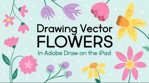 In this class I show you how to create your own uniquesimple vector flower illustrations on your iPad. I use the adobe app Adobe Draw